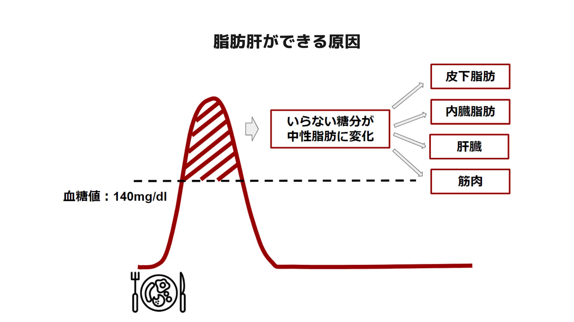 脂肪肝、心臓発作